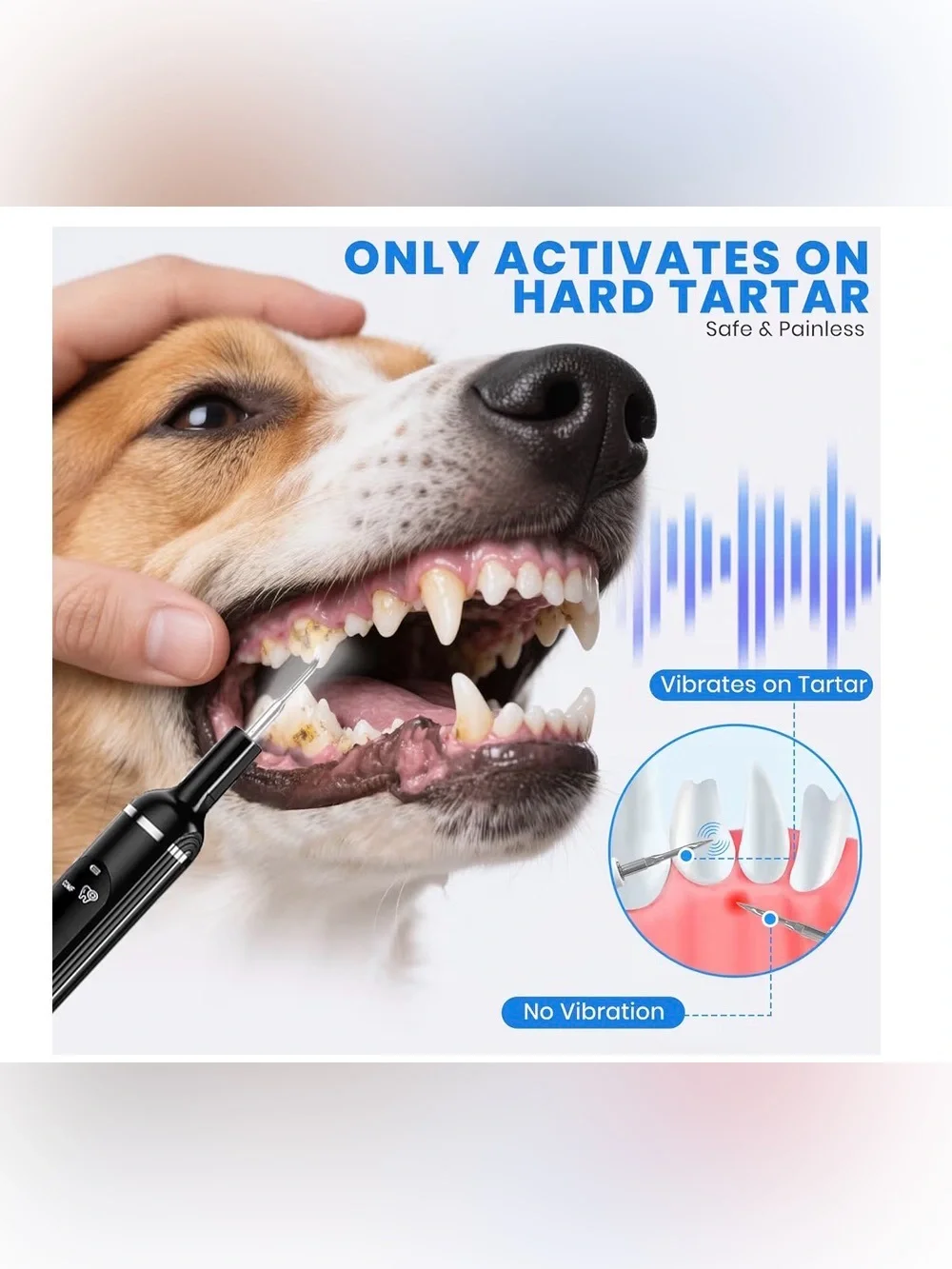 PATWING Dog Plaque Remover